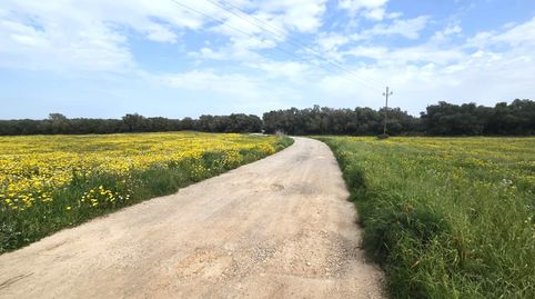 Photo 3 of Land for sale in Sant Jordi, Palma de Mallorca