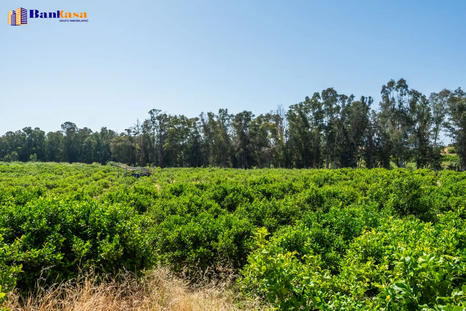 Terreno en venta en Pizarra