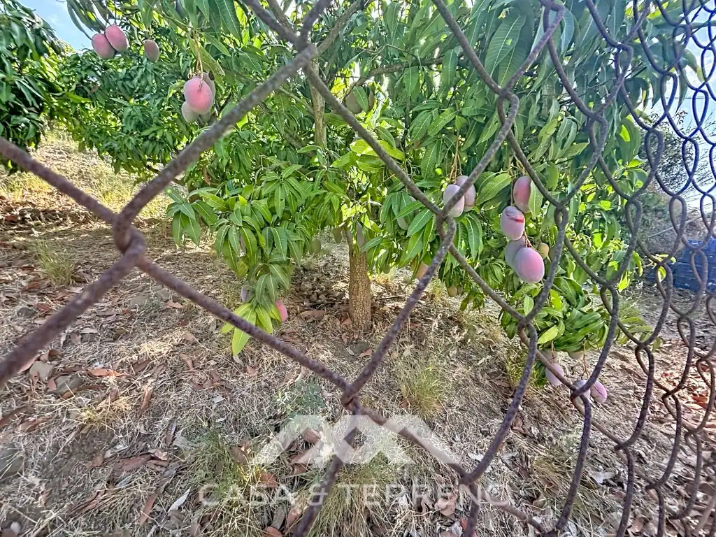 Casa o chalet en venta en Vélez-Málaga ciudad