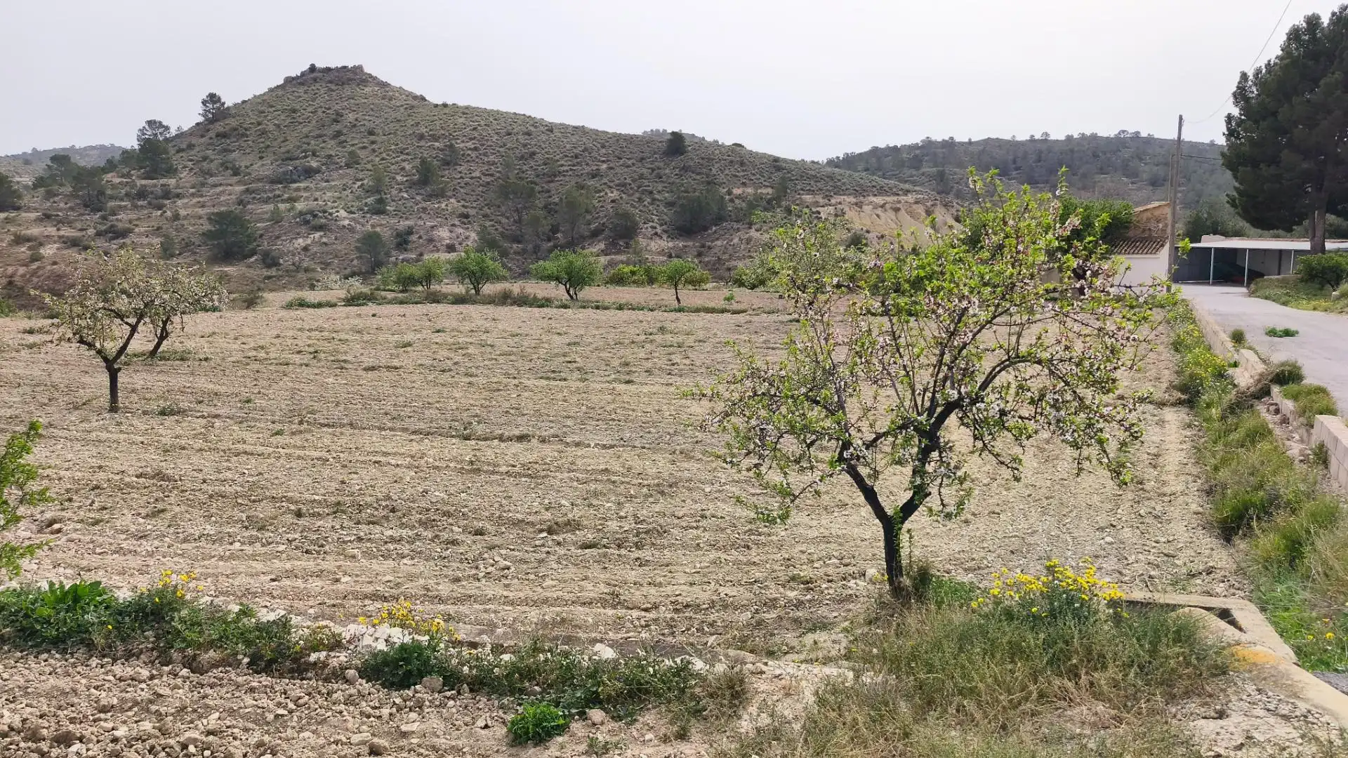 Finca rústica en venta en Aigües con Jardín privado