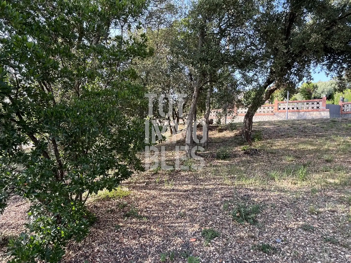 Lands and plots for sale in Bescanó, imagen 3