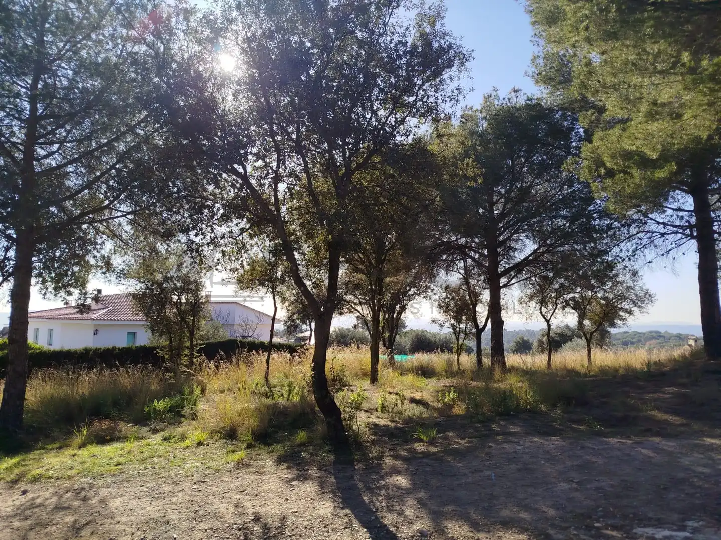Terrenys i solars en venda a VILA DE VALL, imagen 11