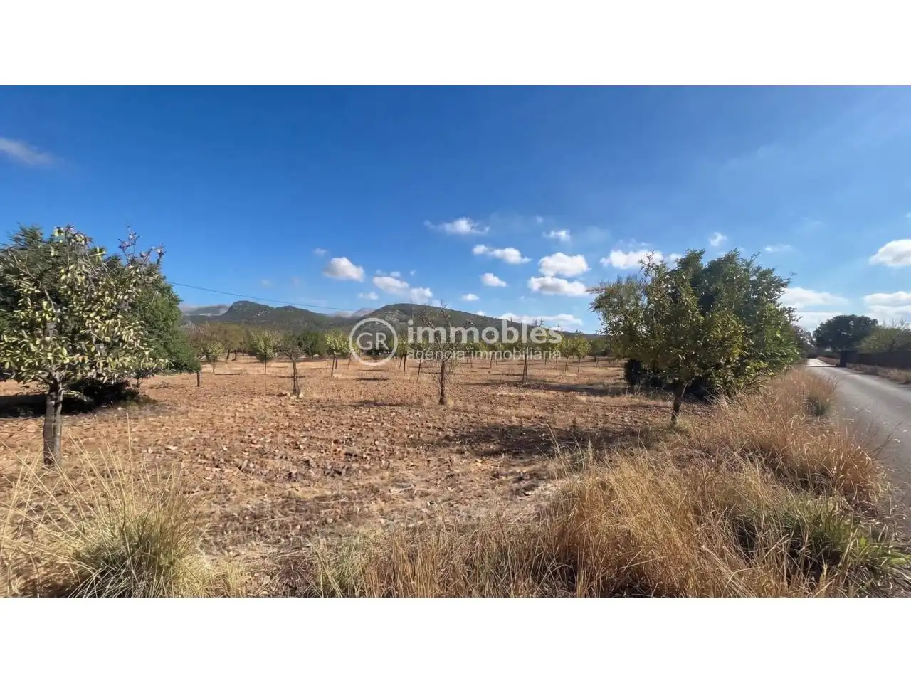 Terreno rustico in vendita a Poligono 14, imagen 3
