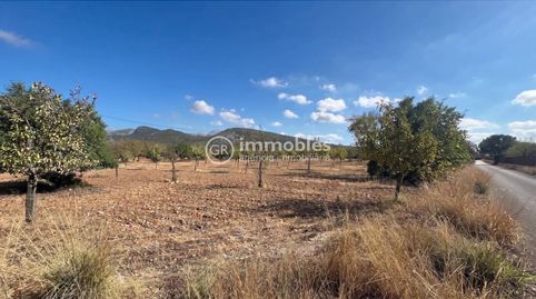 Photo 3 of Land for sale in Poligono 14, Binissalem, Illes Balears