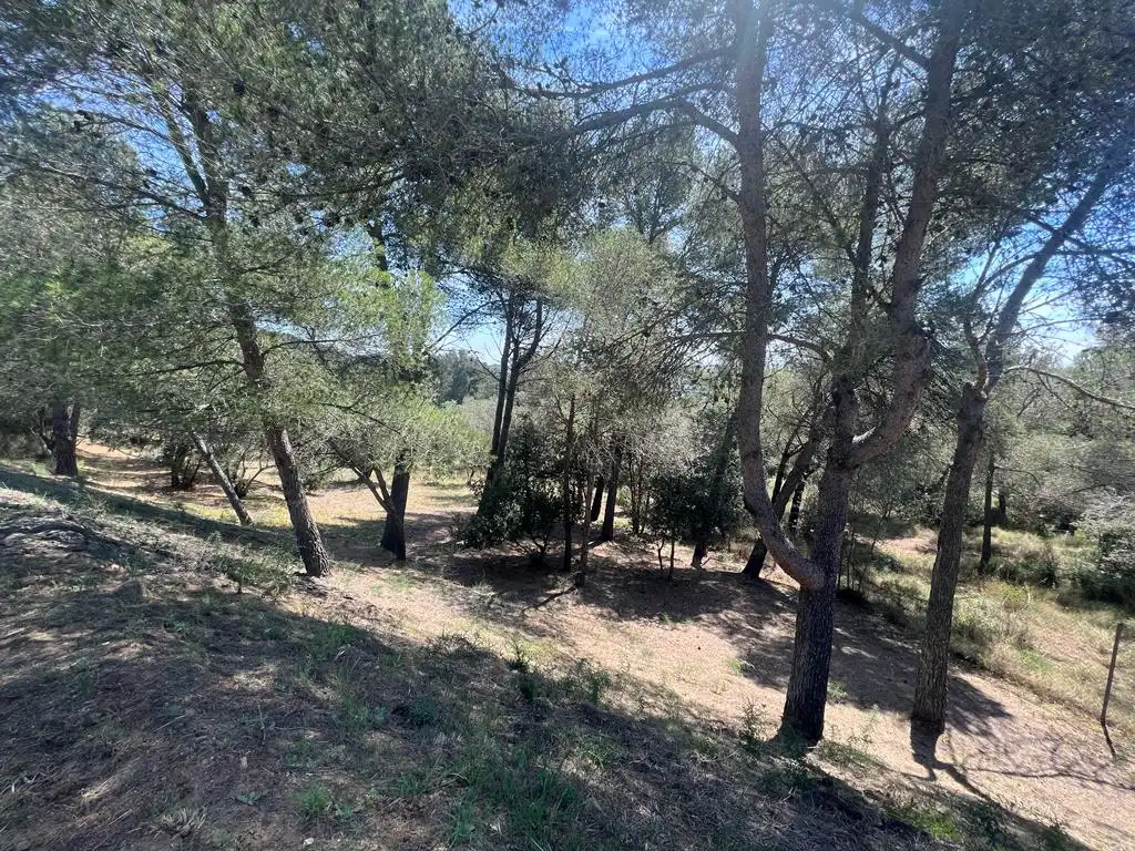 Casa o xalet en venda a Avinguda Catalunya