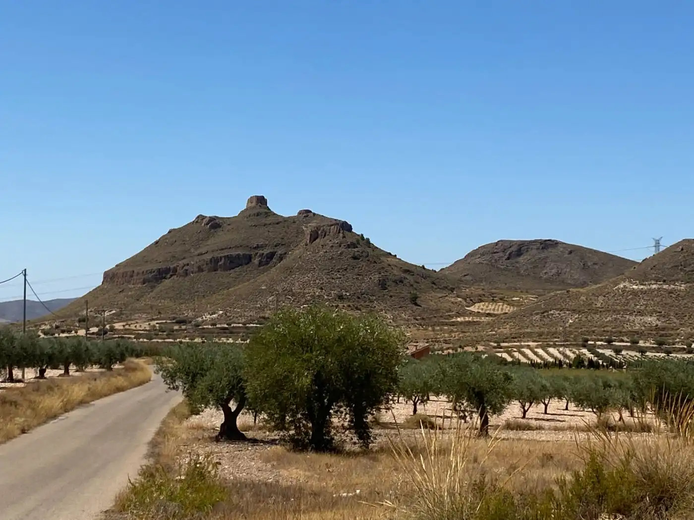 Rustikales Grundstück zum Verkauf in Jumilla