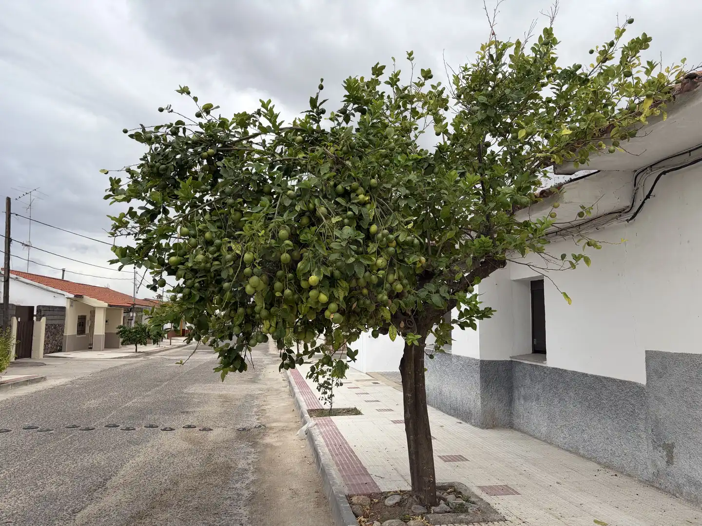 Vista exterior de Residencial en venda en Tiétar, Cáceres