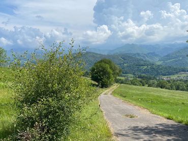 Terreni e lotti in vendita a Beceña