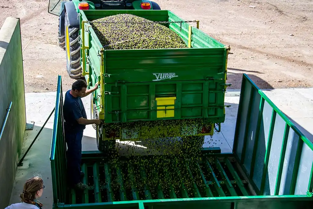 Vista exterior de Finca rústica en venda en Jumilla amb Calefacció, Jardí privat i Terrassa
