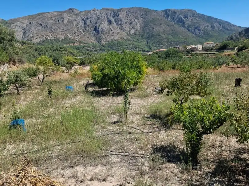 Grundstücke zum Verkauf in Beniardà