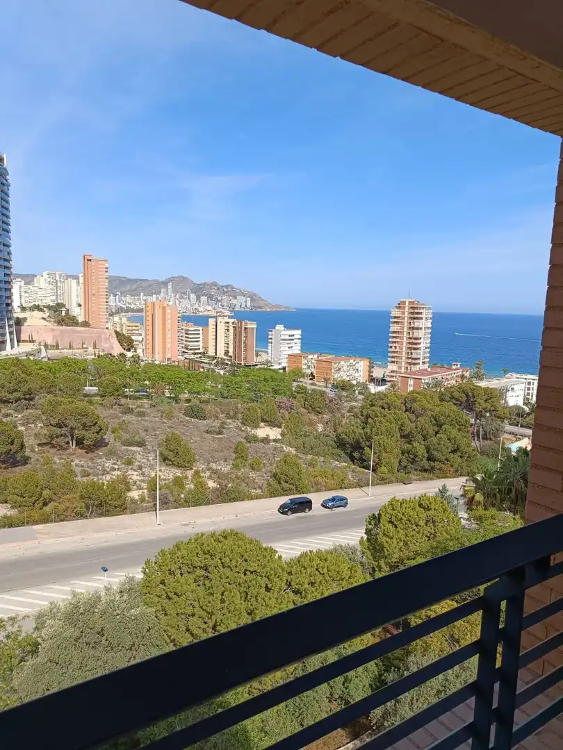 Ático con piscina en venta en Avinguda Marina Baixa, imagen 37
