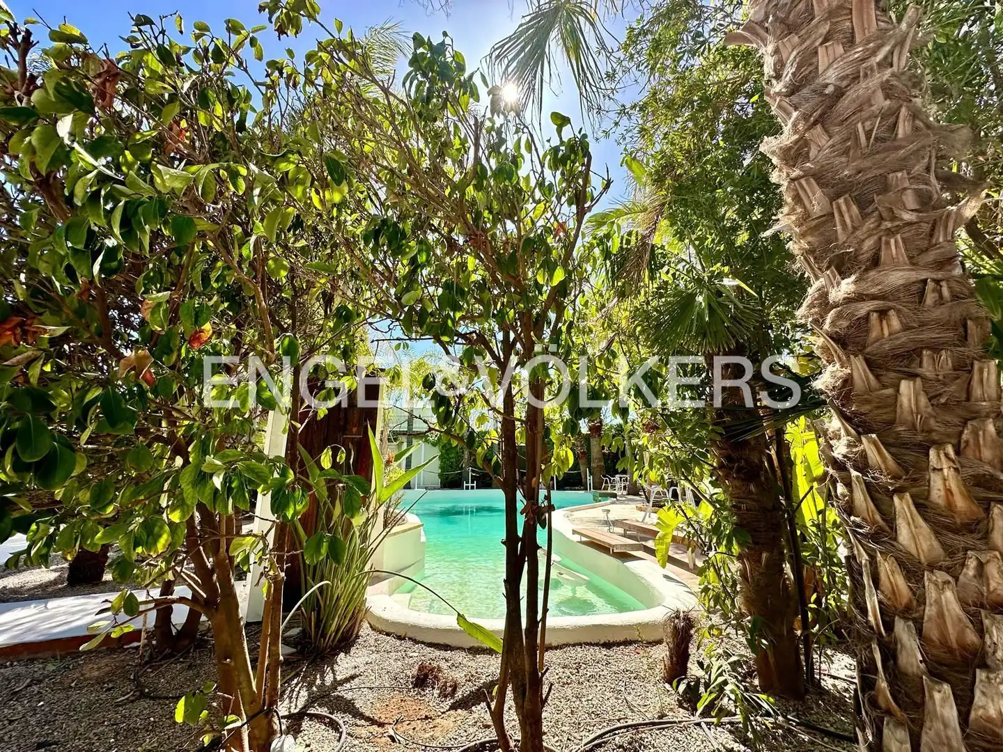 Casa con piscina in vendita a La Conarda - Montesano, imagen 27