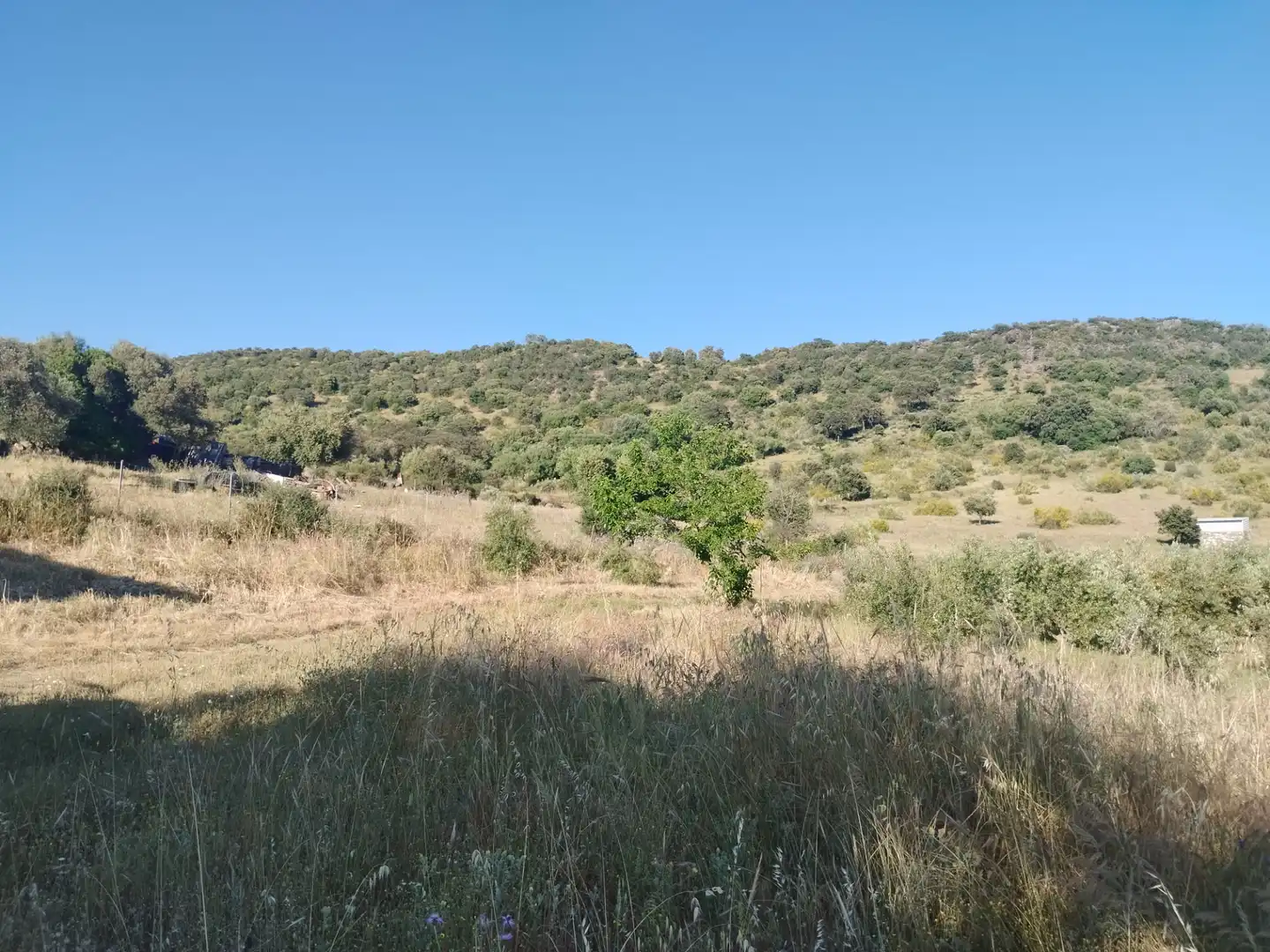 Terreno rustico in vendita a Burguillos del Cerro, imagen 6