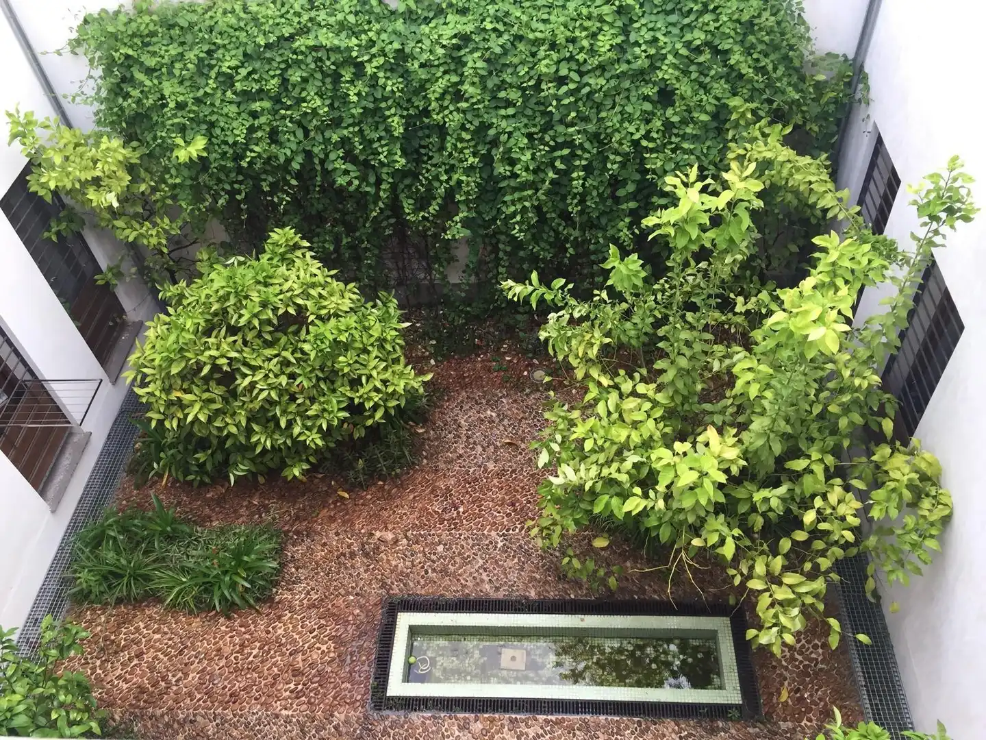 Jardín de Apartamento en venta en Córdoba con Aire acondicionado y Amueblado