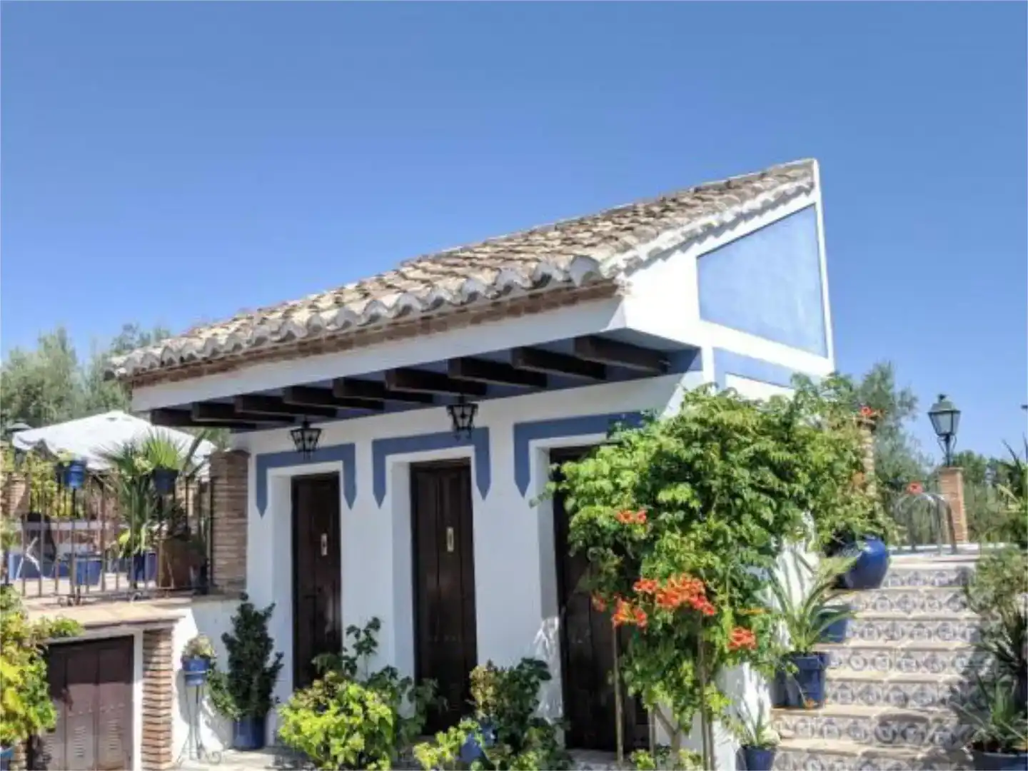 Vista exterior de Casa o chalet en venta en Baena con Piscina