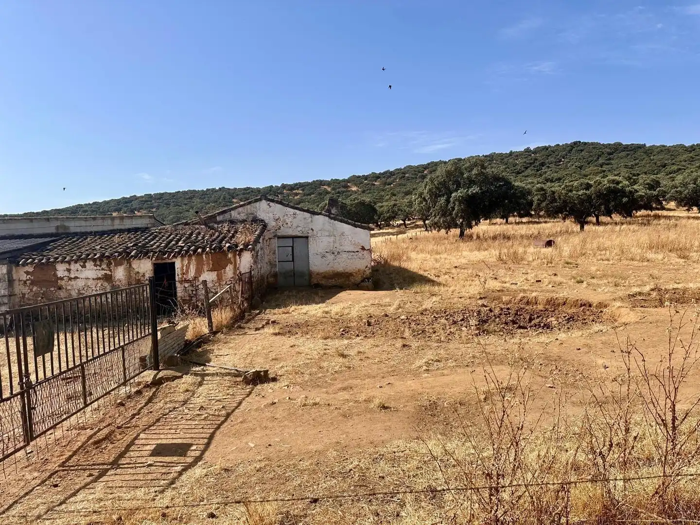 Rural land for sale in Fuente Obejuna, imagen 31