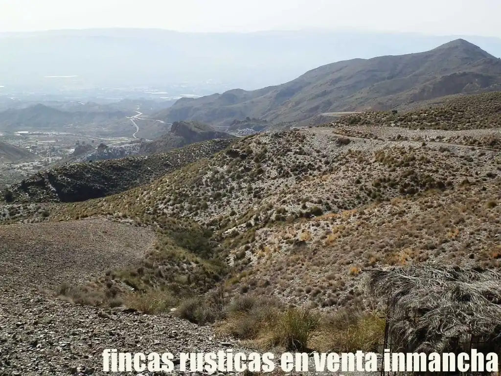 Terreny rústic en venda a Pechina, imagen 5