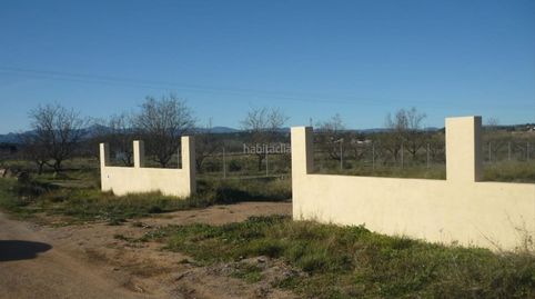 Terreno rustico en villafames, immagine 2