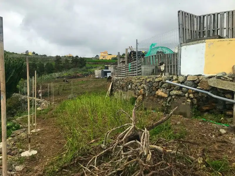 Finca rústica en venda en Moya (Las Palmas) amb Aire condicionat, Jardí privat i Terrassa