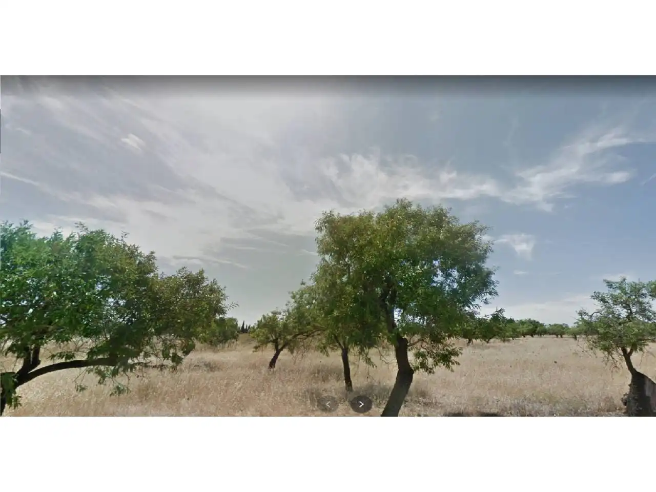 Rural land for sale in Búger