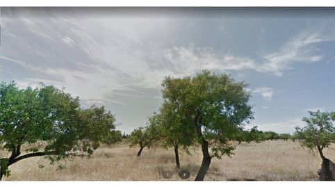 Terreno en venta en Búger