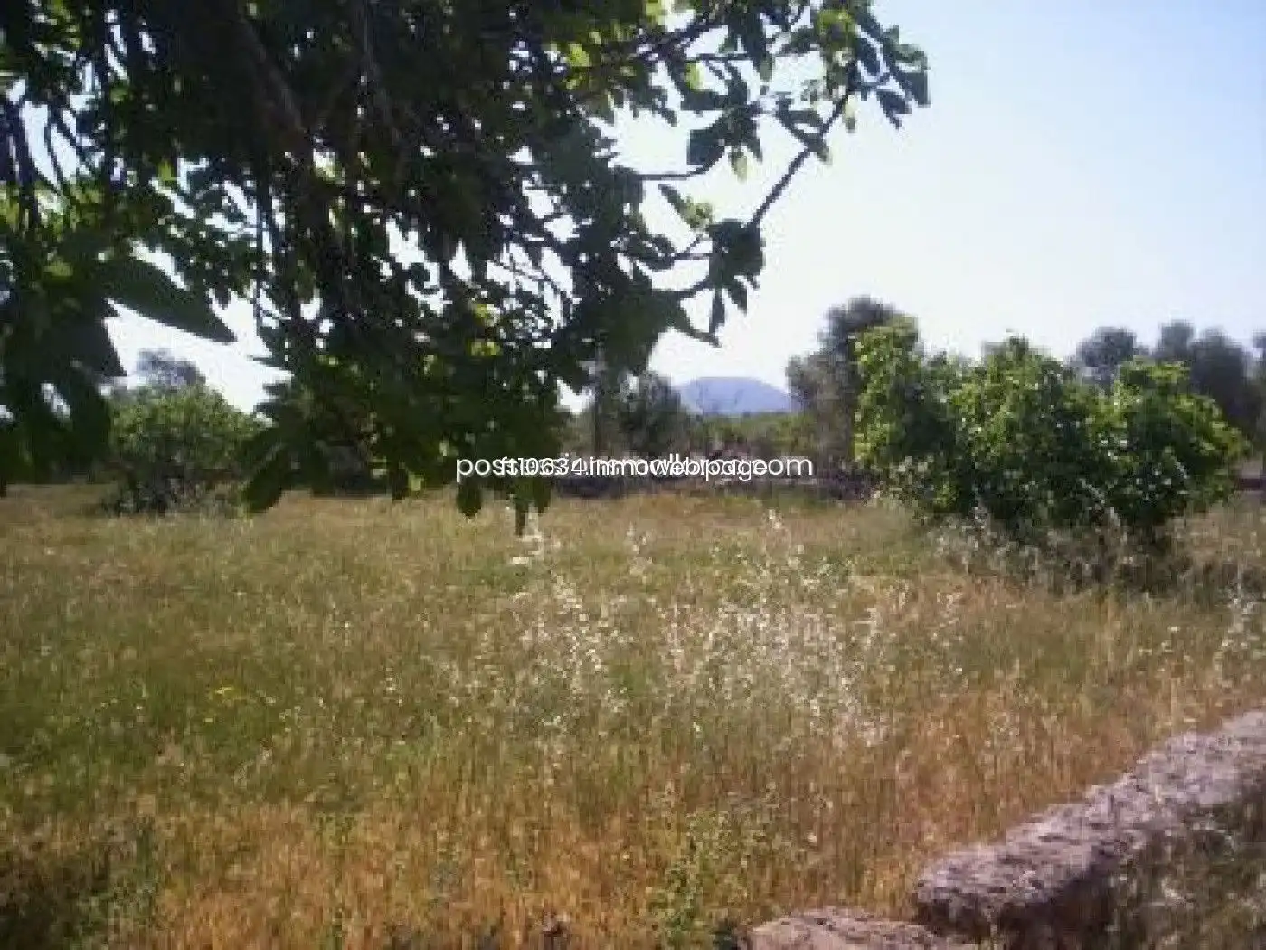 Terreno rustico in vendita a Algaida, imagen 12