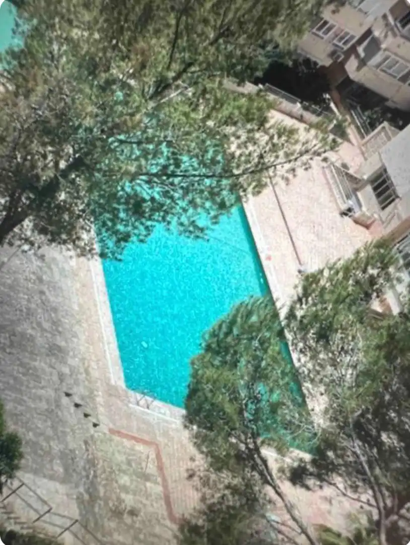 Swimming pool of Flat for rent in Calvià  with Air Conditioner, Furnished and Oven