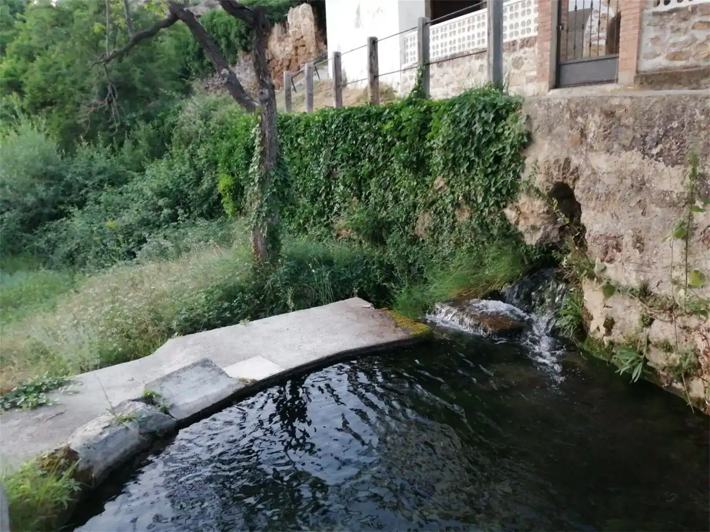 Piscina de Casa o xalet en venda en Aliaga amb Traster i Moblat