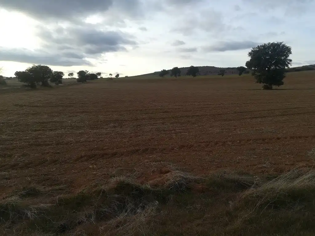 Casa rústica en venda a Santa Cruz de Mudela, imagen 7