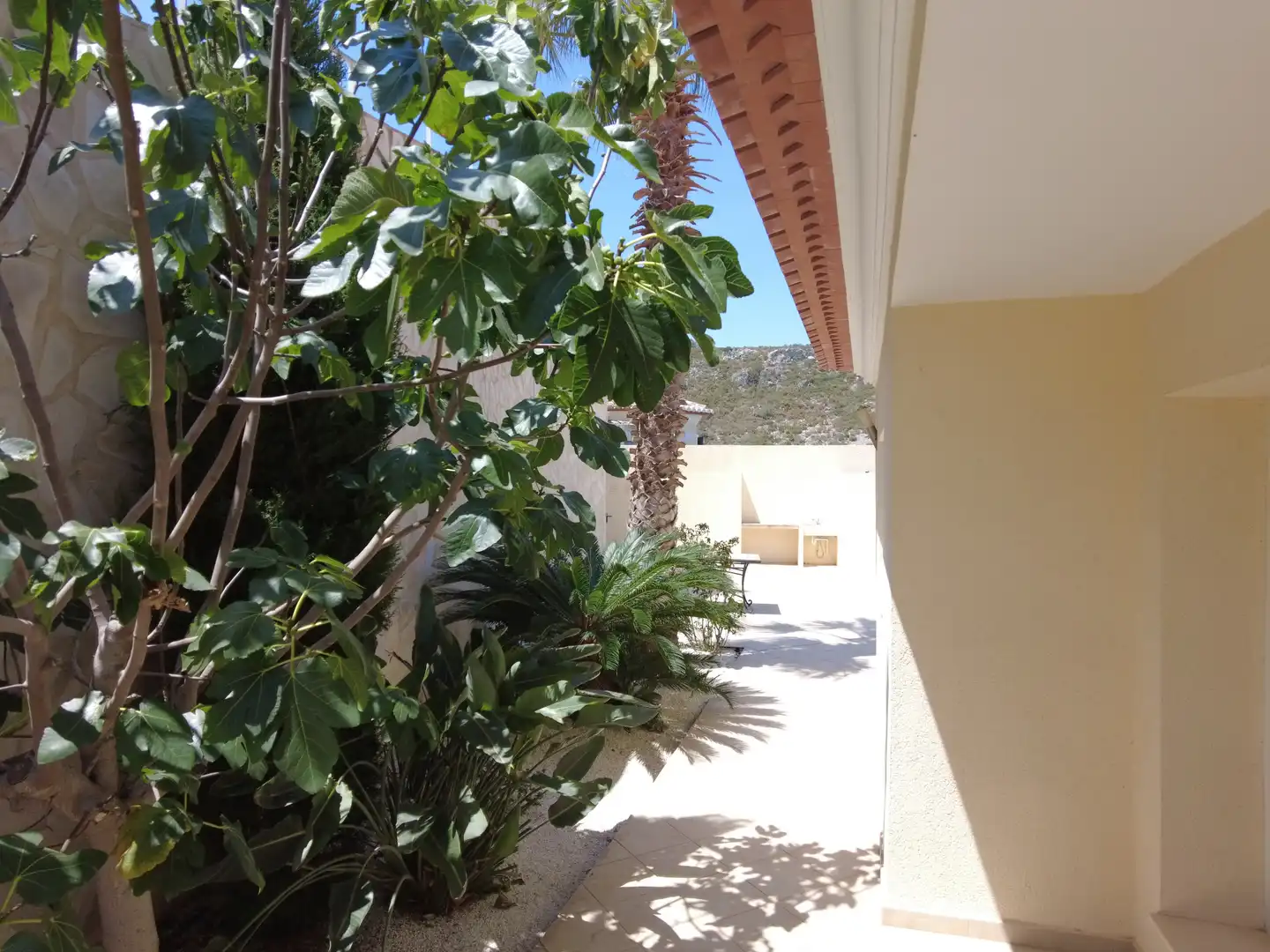 House with garden for sale in La Pedrera - Vessanes, imagen 43