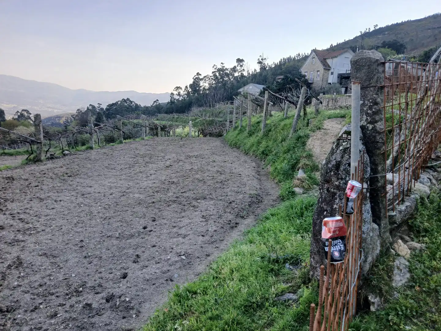 Casa o chalet en venta en As Neves   con Jardín privado