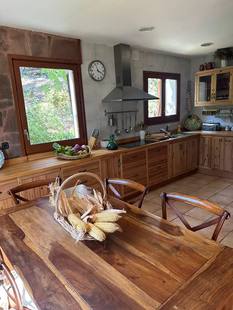 House with terrace for sale in Carrer del Doctor Peris 1, imagen 58