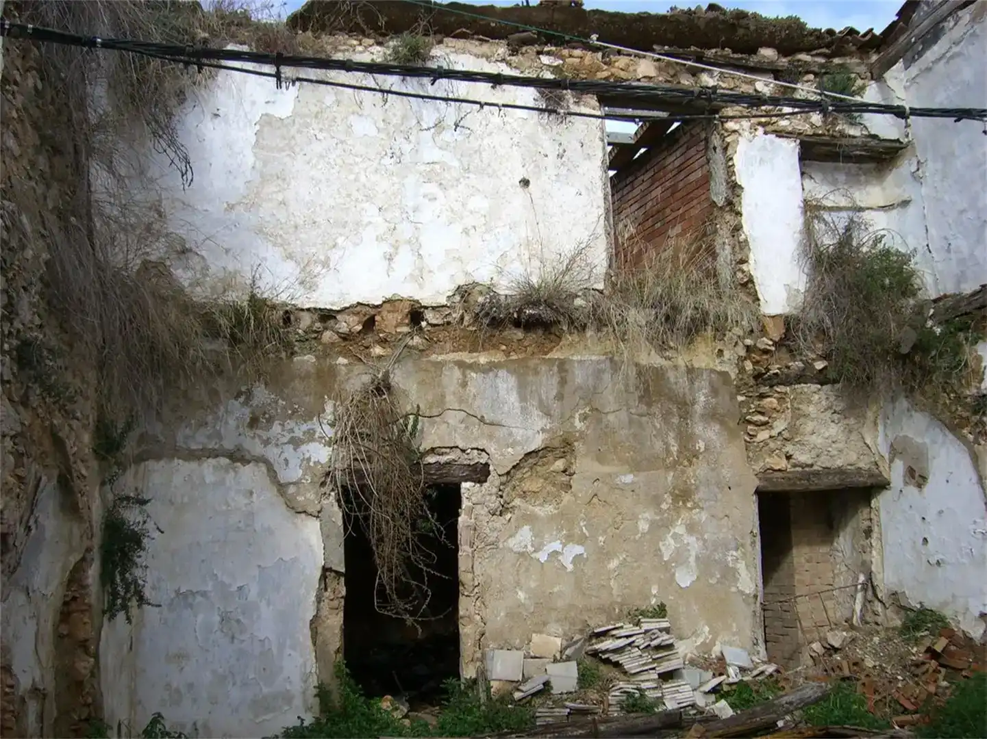 Vista exterior de Finca rústica en venta en Cartajima