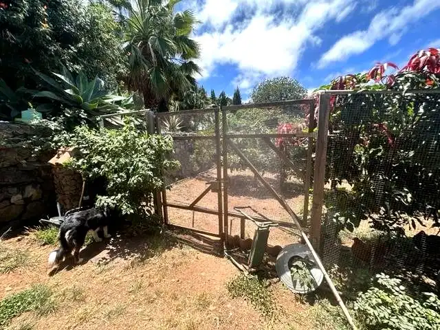 Jardí de Finca rústica en venda en La Orotava amb Jardí privat i Terrassa