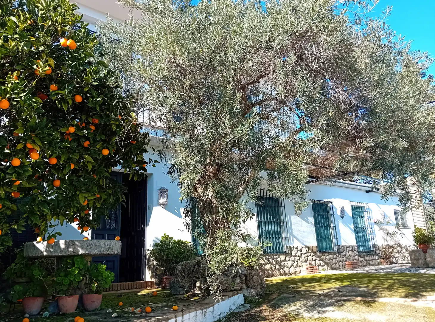 Villa mit Terrasse zum Verkauf in Urbanizacion la Pasadilla, imagen 4