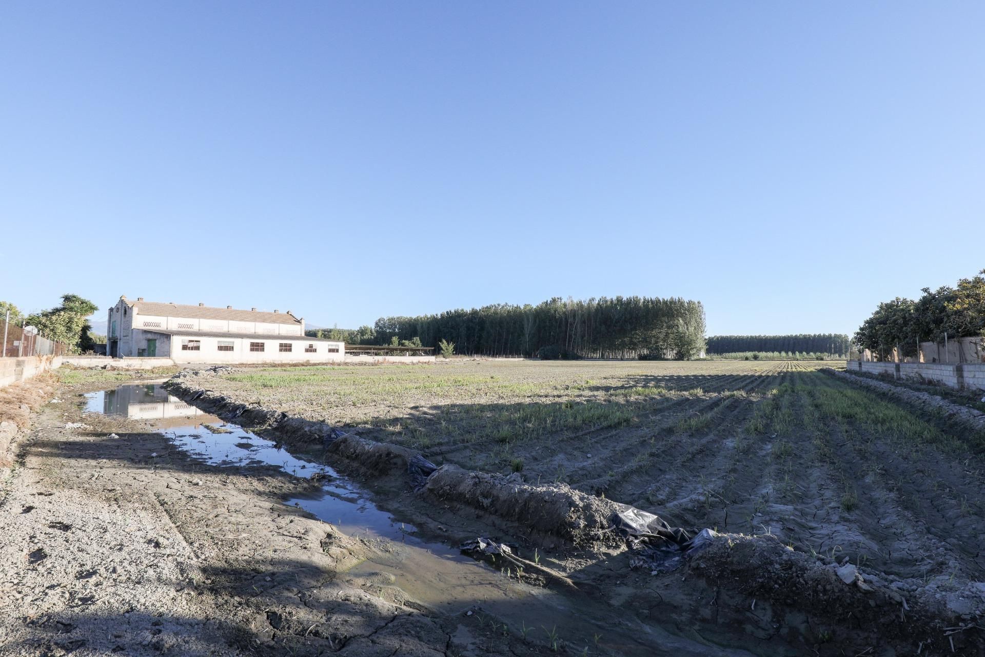 Casa o xalet en venda en Fuente Vaqueros