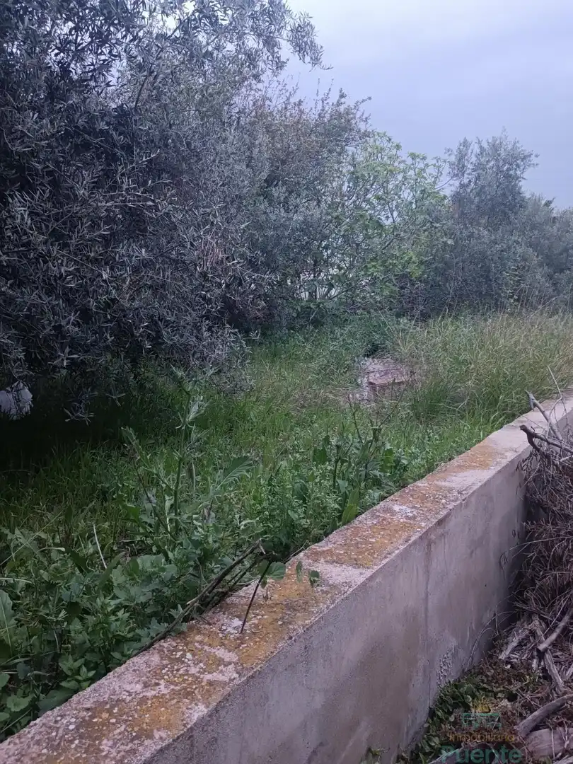 Casa o xalet en venda en Totana