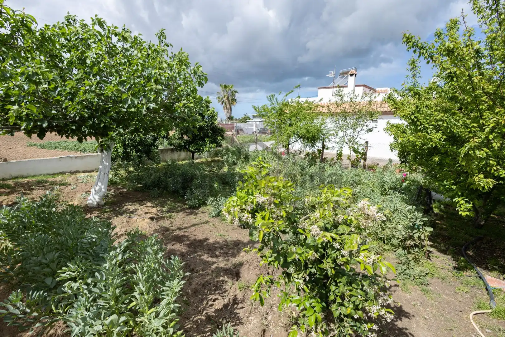 Garden of Country homes for sale in Sanlúcar de Barrameda  with Private garden and Storage room