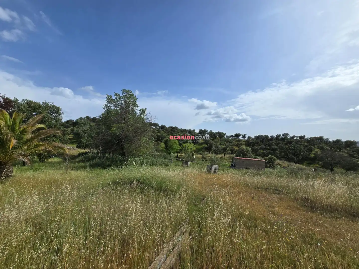 Casa o xalet en venda en Alcaracejos