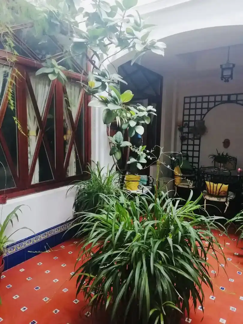 Balcony of Ground floor for sale in Enguera  with Balcony