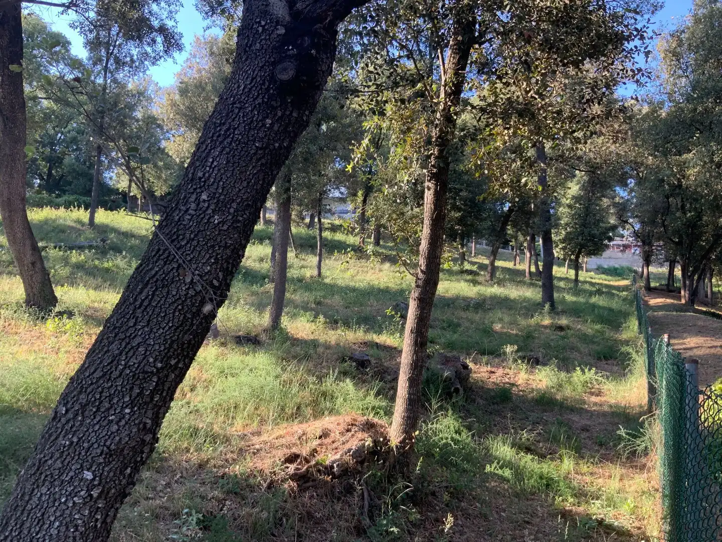 Residencial en venta en Santa Maria de Palautordera