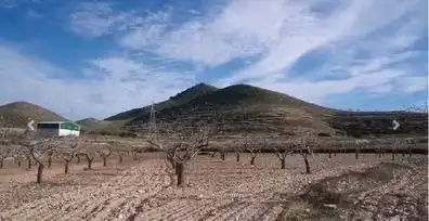 Exterior view of Land for sale in Cartagena