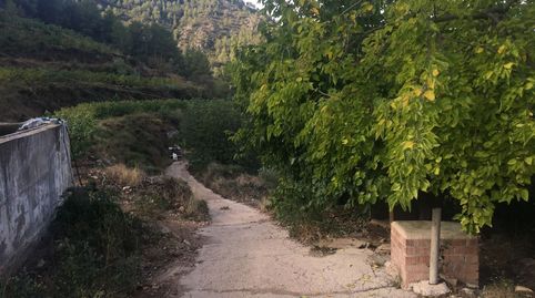 Foto 2 de Finca rústica en venta en Benifallet, Tarragona