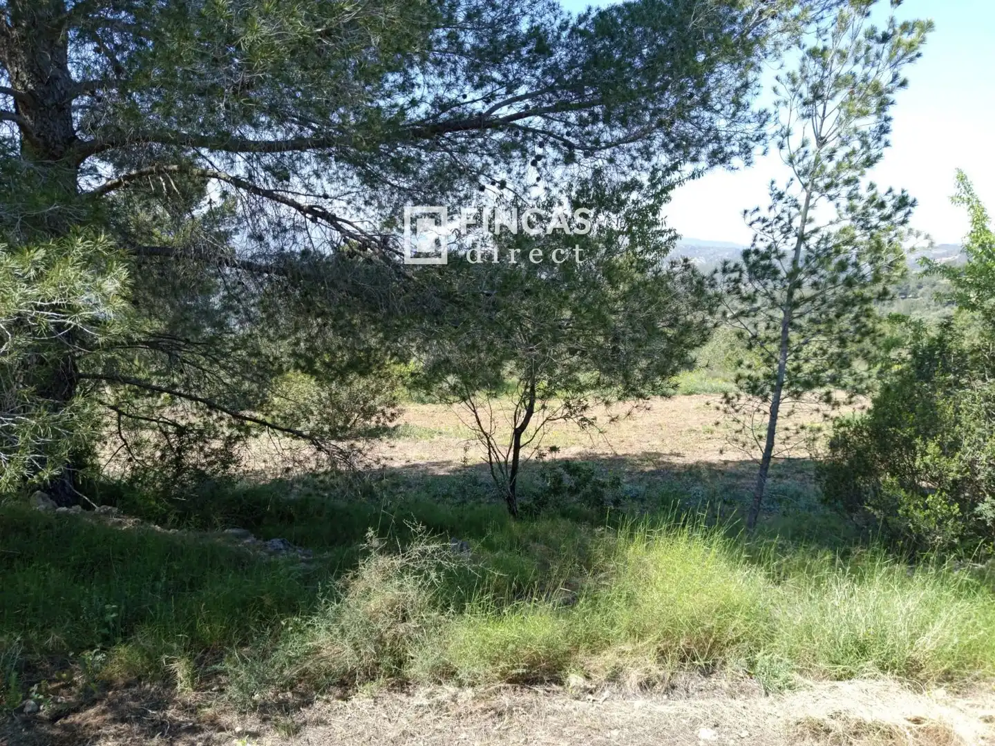 Terrain rustique à vendre à WFXW+MPJ, imagen 13