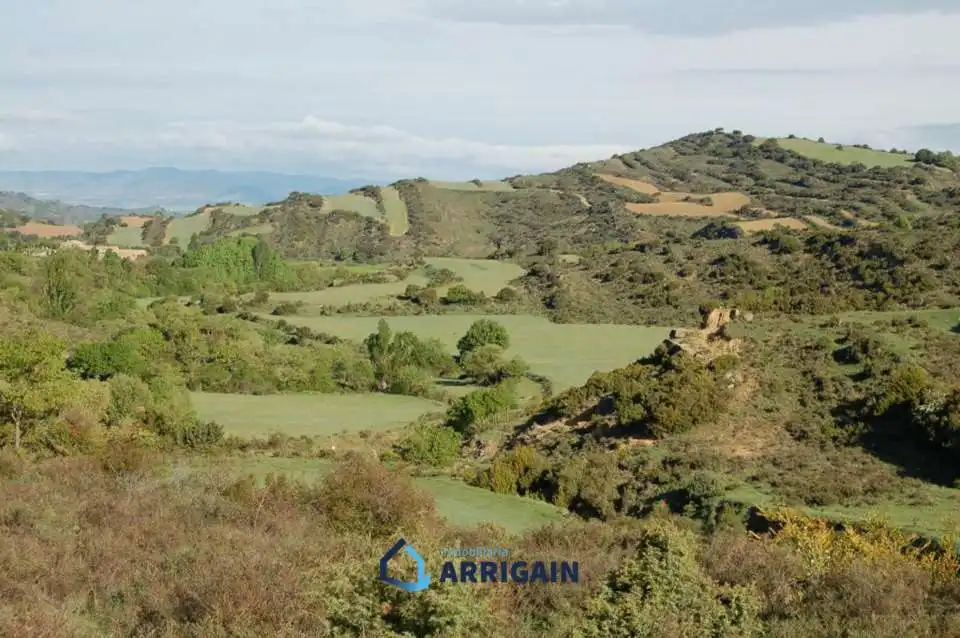 Vista exterior de Casa o chalet en venta en La Moraleja con Jardín privado
