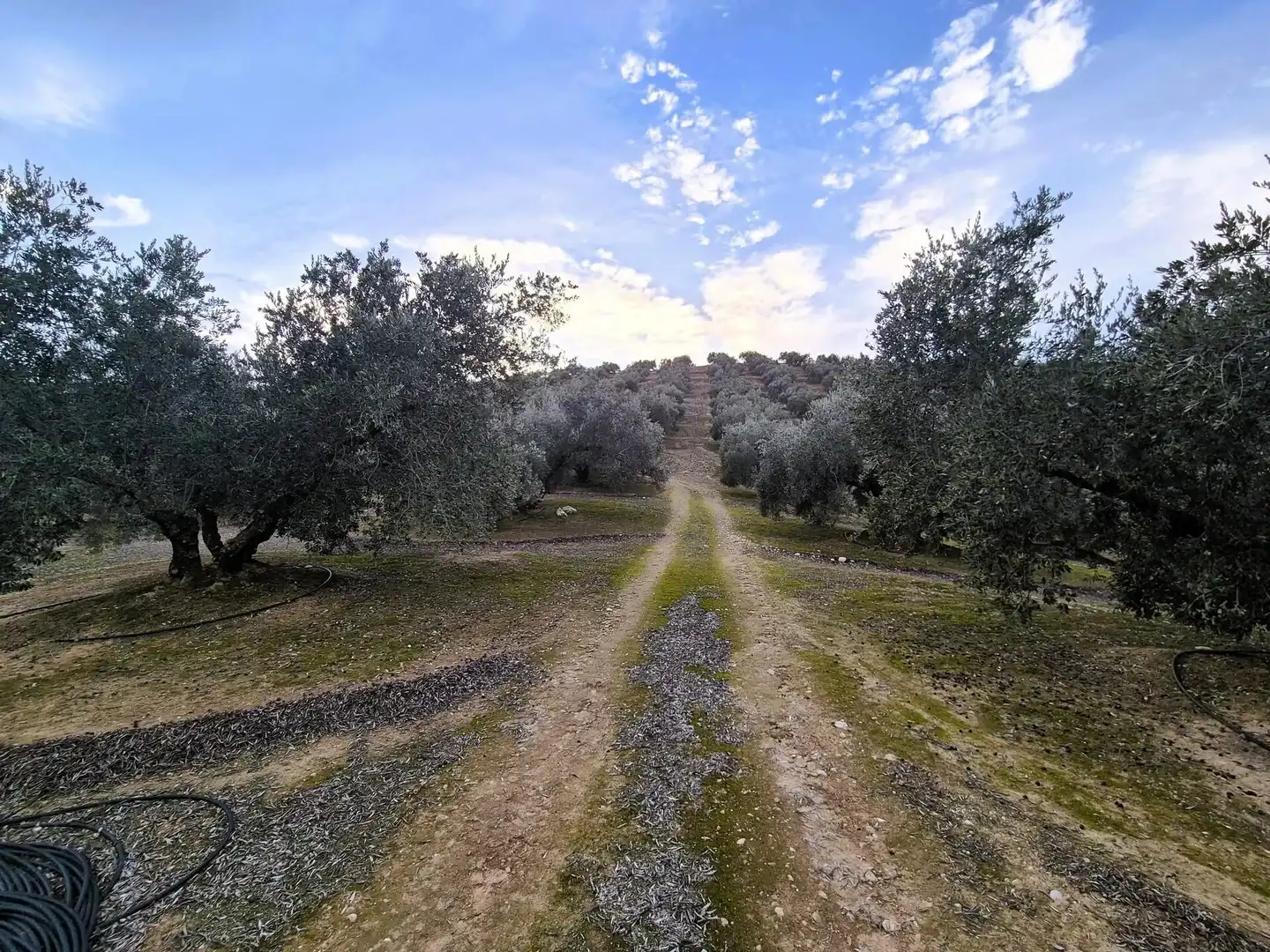 Rural land for sale in Huétor Tájar, imagen 27