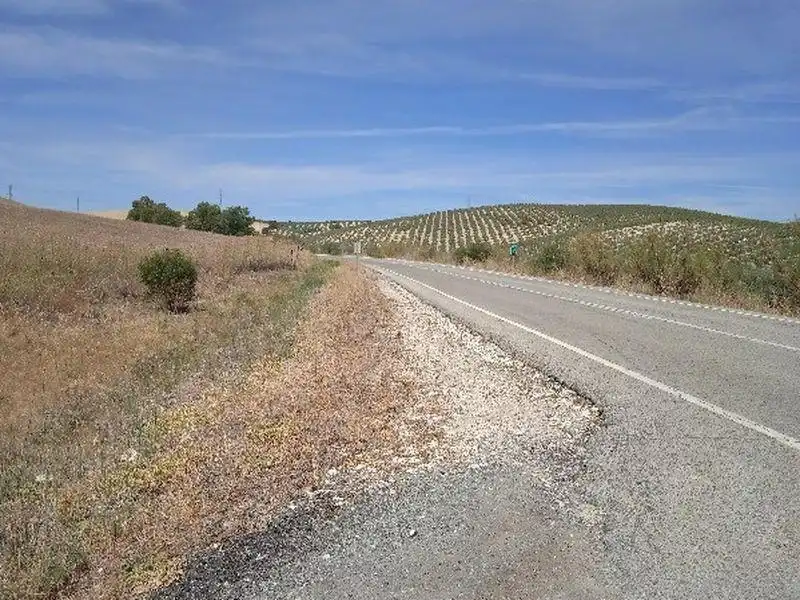 Casa rústica en venda a Morón de la Frontera, imagen 7