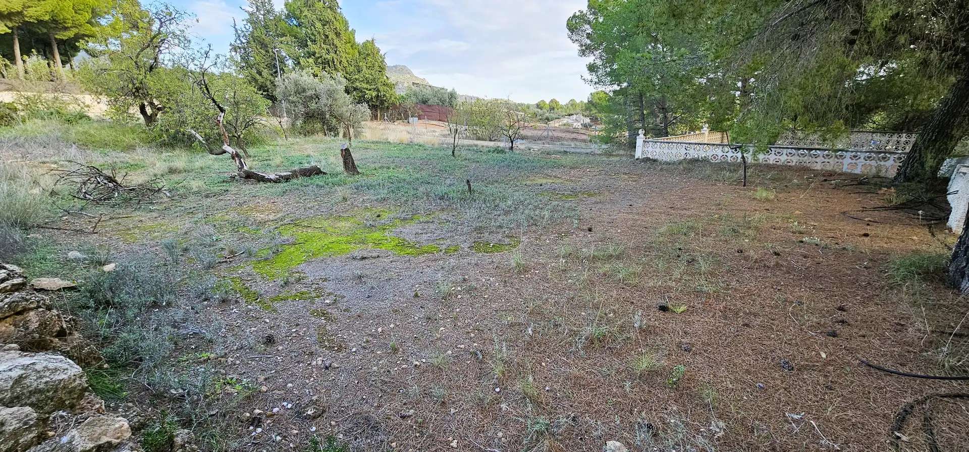 Chalet con jardín en venta en Aledo, imagen 18