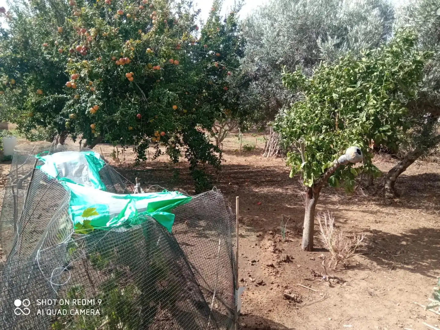 Casa o xalet en venda en Puerto Real amb Jardí privat, Piscina i Alarma