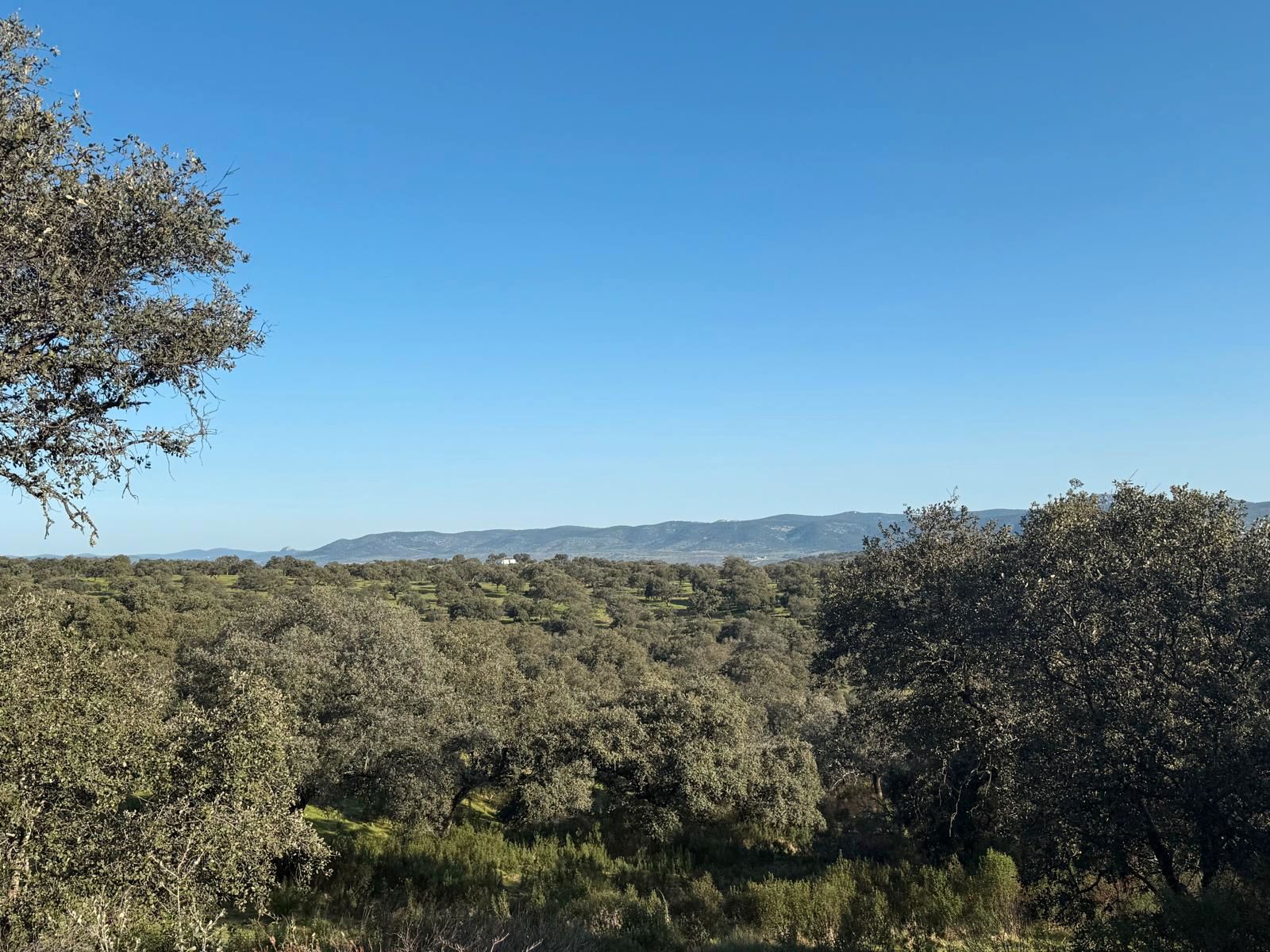 Country house zum Verkauf in Villanueva del Rey mit Abstellraum